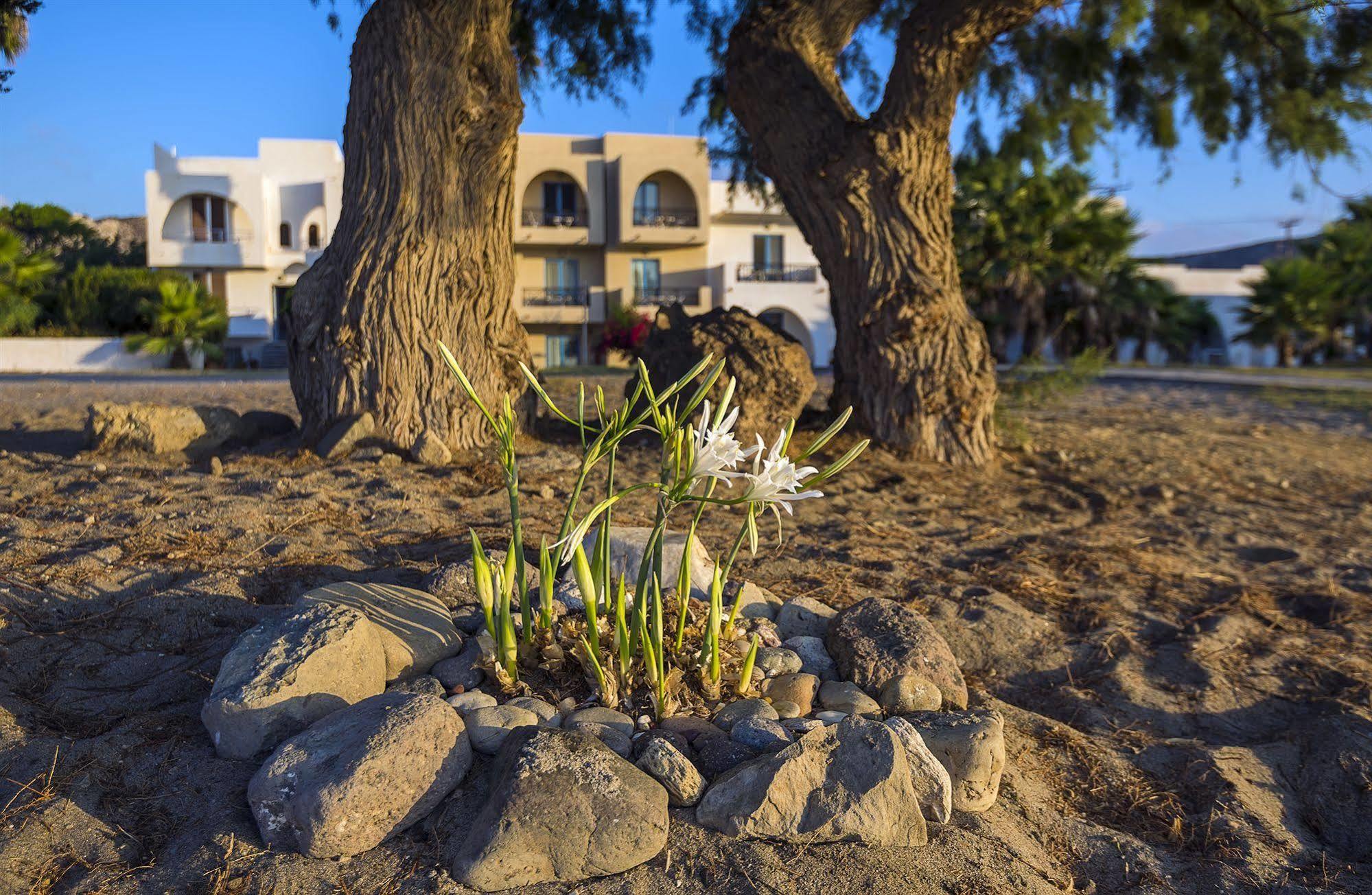 Aparthotel Olympia Mare Kardamena  Exterior foto